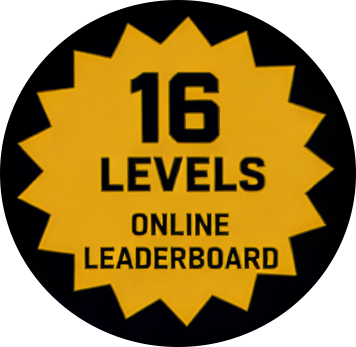 16 levels · online leaderboard